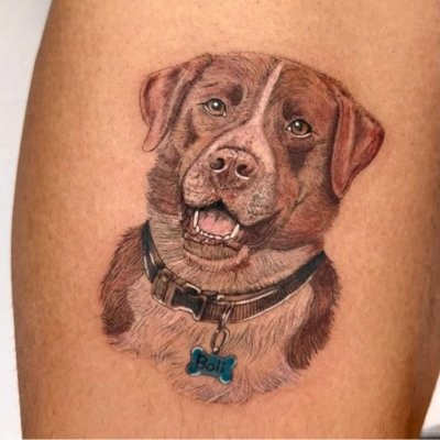 Micro realismo a color — retrato de perro labrador con collar, técnica pelo a pelo